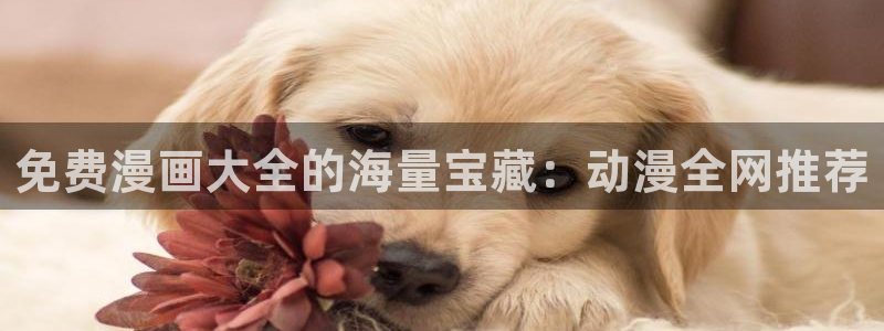 漫岛动漫站：免费漫画大全的海量宝藏：动漫全网推荐